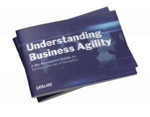 Image of front cover of eBook: Understanding Business Agility